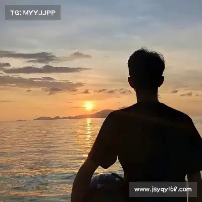 梅鹃仪